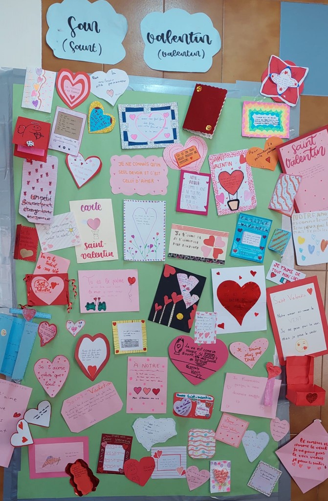 WhatsApp Image 2026-02-20 at 16.40.58